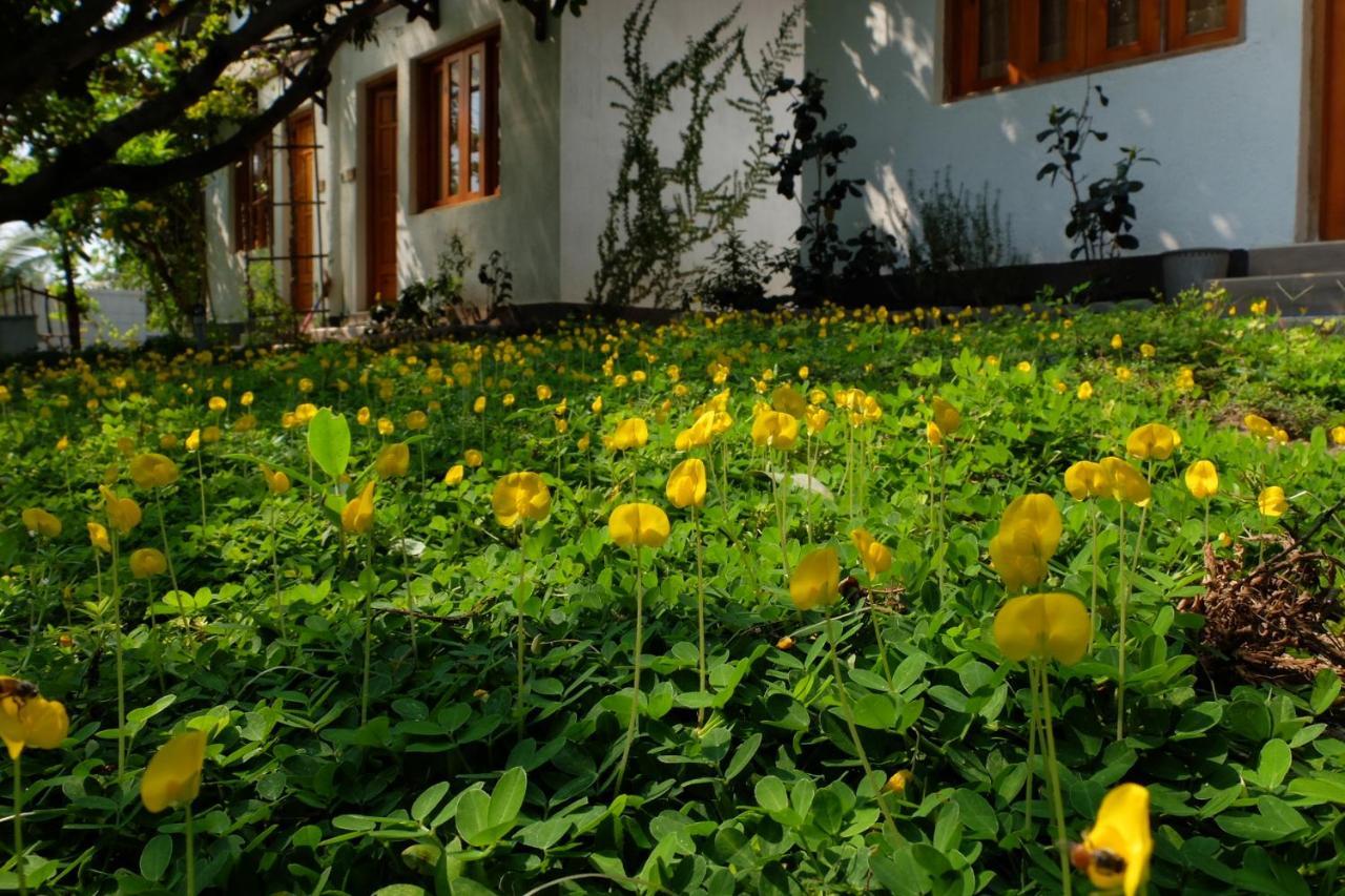 Dao Hoa Vang Villa กามแซงห์ ภายนอก รูปภาพ