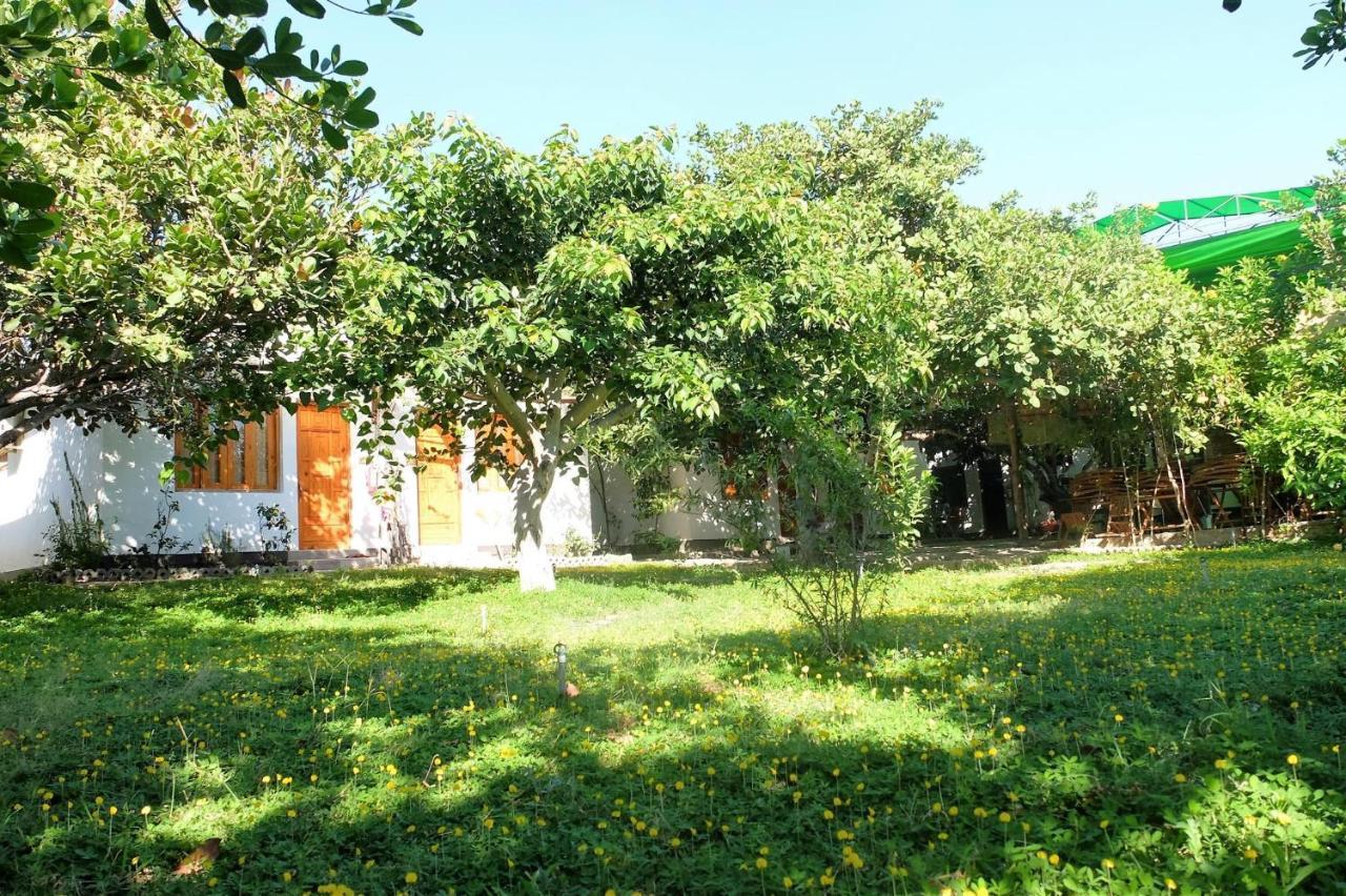 Dao Hoa Vang Villa กามแซงห์ ภายนอก รูปภาพ